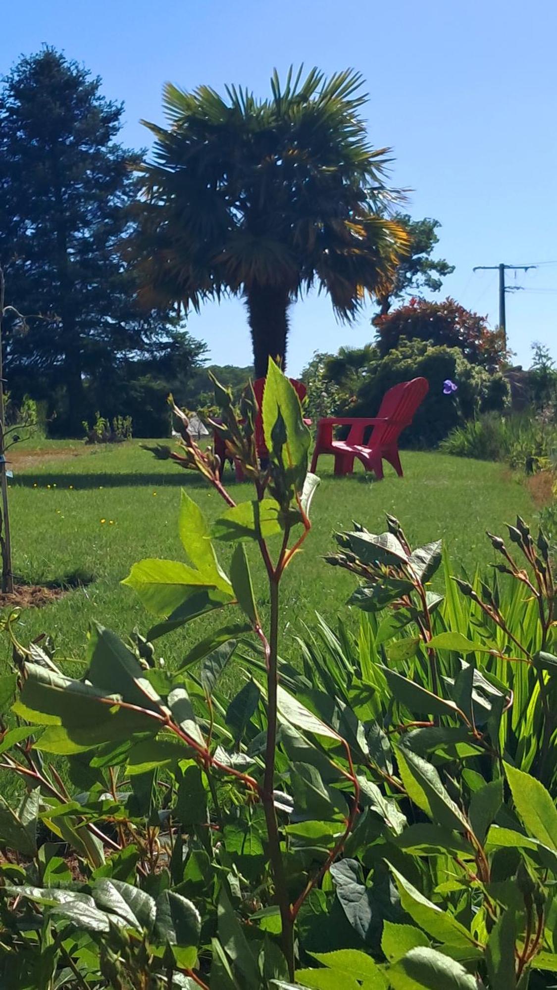 Gite En Campagne Lamegritniere Extérieur photo